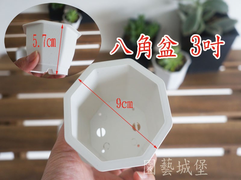 八角盆 3吋(白色) 多肉植物 仙人掌 方盆 育苗盆 植栽盆 園藝用品|園藝資材|園藝工具-園藝城堡-花園工具