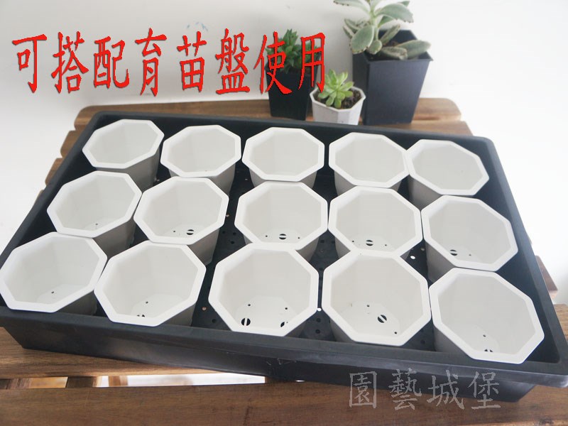 八角盆 3吋(白色) 多肉植物 仙人掌 方盆 育苗盆 植栽盆 園藝用品|園藝資材|園藝工具-園藝城堡-花園工具