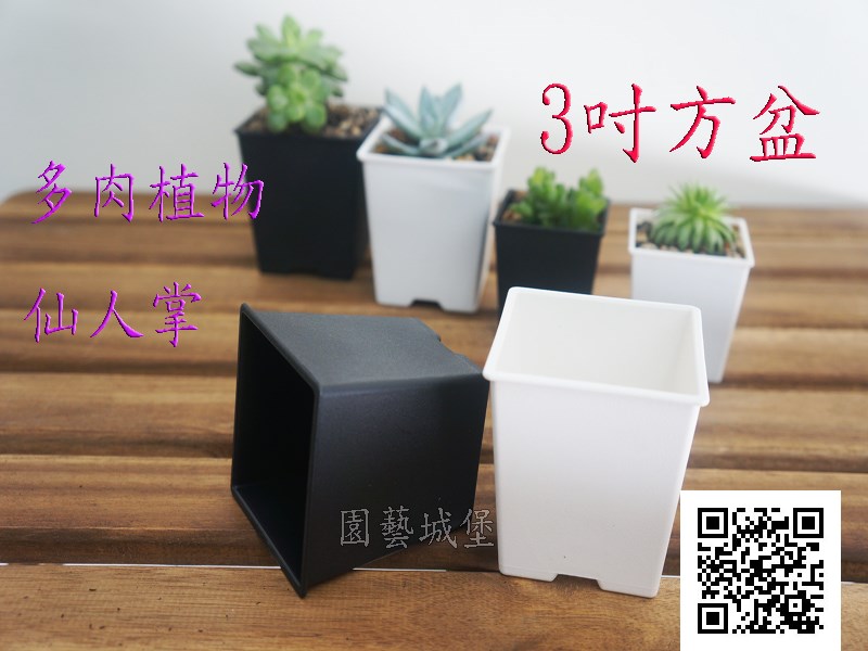 3寸方型栽培盆(厚), 多肉植物,園藝用品，園藝資材.花園工具,園藝城堡