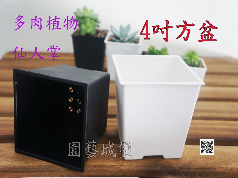 4寸方型栽培盆(厚) ,多肉植物,園藝資材,花園工具,園藝城堡