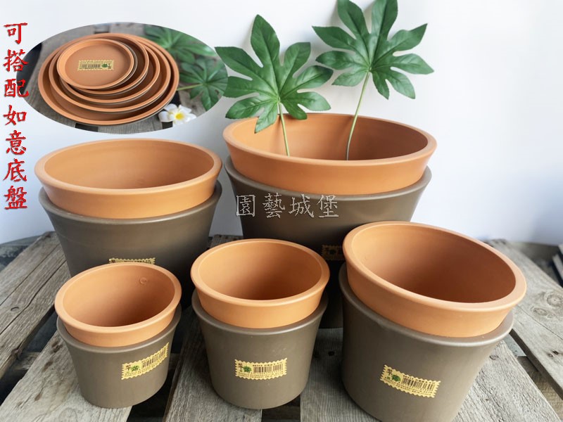 翠筠如意盆塑膠花盆花盆龜背芋青蘋果芋觀葉植物用