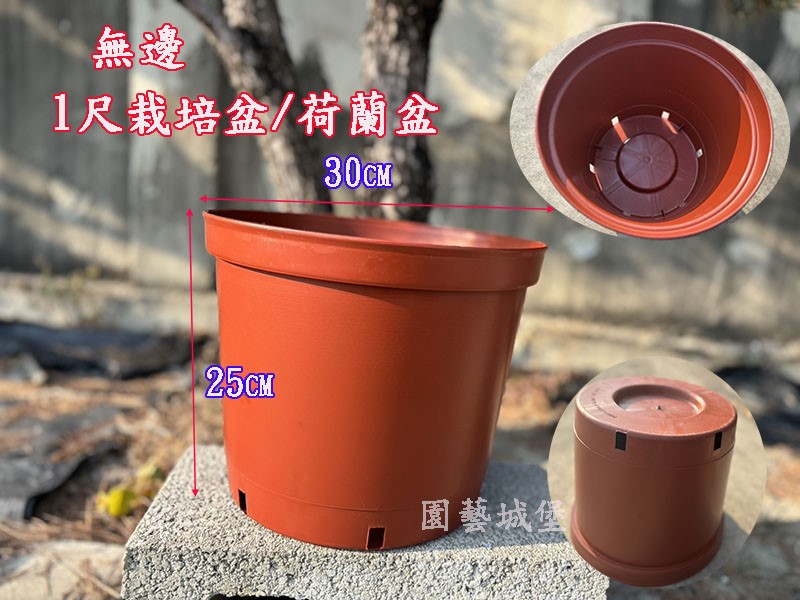 仁城義勝 尺一寸盆 無邊1尺栽培盆(高) 荷蘭盆紅色圓型盆紅盆草花用盆花盆園藝用品|資材